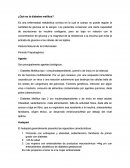 ¿Qué es la diabetes mellitus?