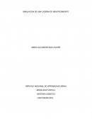 Simulacion de una cadena de abastecimentos