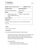 Logica de Einstein. Roles y comportamiento en los equipos.