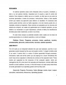 El sistema operativo actúa como interprete entre el usuario y hardware, y este a su vez genera eventos, impuestos por el usuario y para el control del sistema