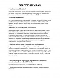 EJERCICIOS TEMA Nº6 1º ¿Qué es un manual de calidad?. Página 1