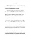 Fundación Tierra Viva