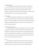 Una de tecnologías que recientemente han causado un cambio en la sociedad son los drones.