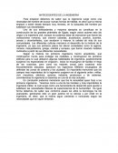 Antecedentes de la ingenieria.