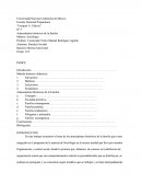 Antecedentes históricos de la familia.