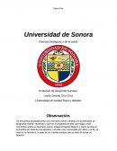 Aplicación de observación con las teorías del desarrollo.
