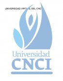 Estructuras organizacionales.