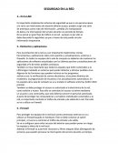 SEGURIDAD EN LA RED.