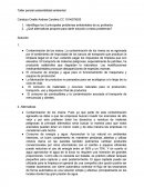 Tema- Taller parcial sostenibilidad ambiental