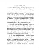 Analisis critico correccion ANDREA HERNANDEZ SECCION 8