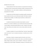 RESUMEN EJECUTIVO “CISQ”