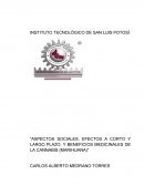 Aspectos sociales, efectos a corto y largo plazo, y beneficios medicinales de la cannabis