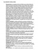 VOCABULARIO XEOLOXIA.