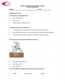 Prueba cobertura curricular.