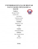 Plantas medicinales en estudio cultural.