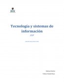 Tecnología y sistemas de información.