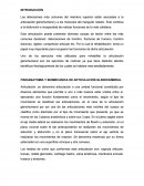 Las alteraciones más comunes del miembro superior están asociadas a la articulación glenohumeral y a los músculos del manguito rotador.