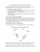 Cuadro sipnotico estados financieros.