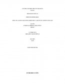 TEMA: DE LAS DECLARACIONES, DERECHOS Y GARANTÍAS CONSTITUCIONALES