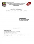 El Desarrollo Organizacional es una herramienta orientada a mejorar los procesos de solución de problemas y de renovación de una organización con la ayuda de un agente de cambio, quien juega un papel fundamental en las organizaciones