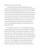 HIDROPONIA: LOS CULTIVOS DEL MAÑANA