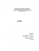 Fases del Project: Instalación del Sistema Profit Plus.