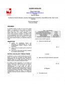 Informe de gases ideales