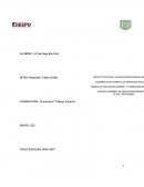 Comprender y transformar la enseñanza de Gimeno Sacristán, página 17-62