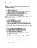 Análisis del gipicheto (Problema social).