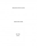 FORMULACION DEL PROYECTO DE LOGISTICA.