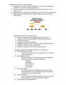 SEMANA 09: Estructura Organizacional