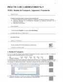 Transporte investigacion.