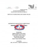 DESARROLLO SUSTENTABLE GRUPO “A”