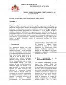 PRODUCTORES PRIMARIOS INDEPENDIENTES DE LA LUZ SOLAR