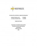 Las áreas del conocimiento y etapas del presupuesto