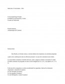 Antropologia del consumo.