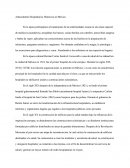 Antecedentes Hospitalarios Históricos en México