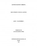 AUDITORIA DE GESTION Y AMBIENTAL ENSAYO PRESENTE, FUTURO DE LA AUDITORIA