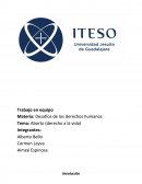 Derecho a la vida (aborto)