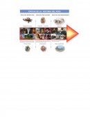 El velero de cristal.