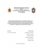 El planteamiento del problema consiste en figurar de manera amplia la situación objeto de estudio, ubicándola en un contexto que permita comprender su origen y relaciones.