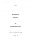 Realizar un ensayo colaborativo de los códigos genéticos y culturales - La familia