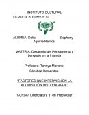 Factores que intervien en la adquisición del lenguaje