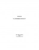 ENSAYO “LA MEMORIA HUMANA”