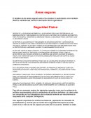 Area seguras Seguridad Física