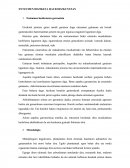 ENTZUMEN HEZIKETA HAUR HEZKUNTZAN.