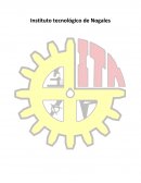 Camino hacia el, fututro.