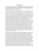 Efectos de la migración en las urbes metropolitanas