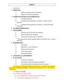 Portada Programación.