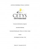 International marketing plan.